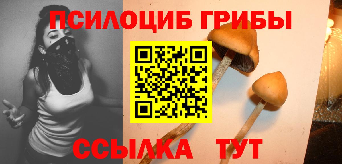 Красногорск  Галлюциногенные грибы Psilocybine cubensis  Псилоцибиновые грибы MAGIC MUSHROOMS  Вход с VPN 