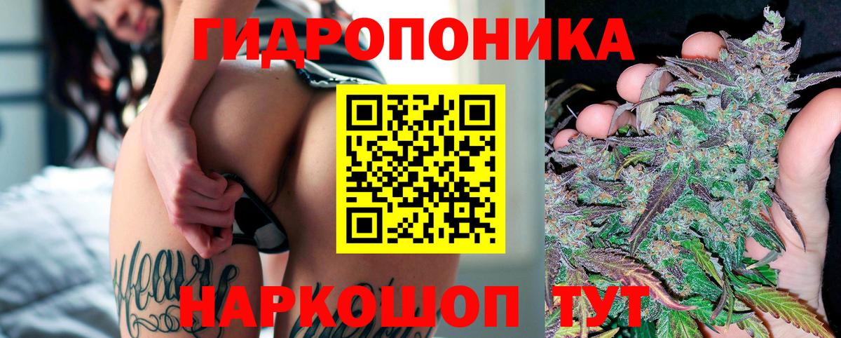 Марихуана план  Канабис сатива  Вход с VPN  Красногорск  Марихуана Bruce Banner 